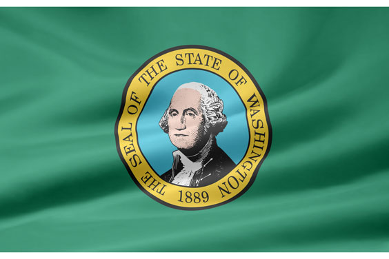 Washington Flag