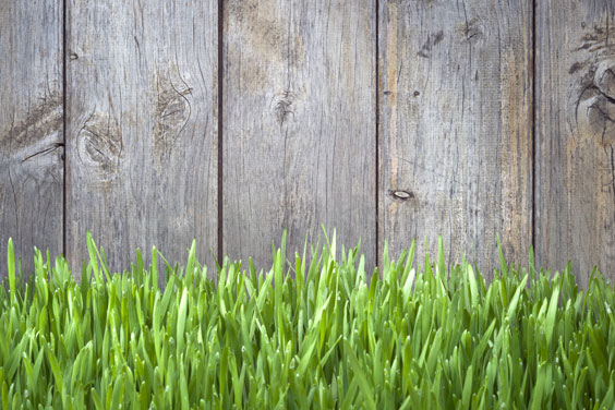 Wooden Fence